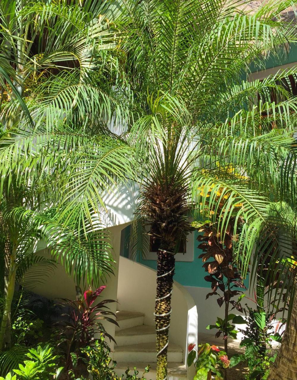 Toto Blue Hotel Boutique Bacalar Eksteriør bilde